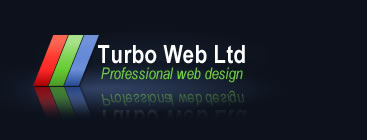 Professional website design